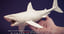 3D great white shark base mesh model
