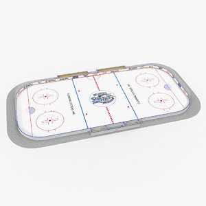 ice hockey rink model