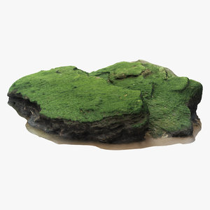 limestone seaweed 3D model