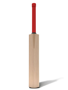 generic cricket bat 3D model