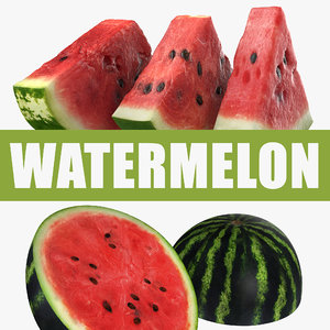 3D watermelon sliced section