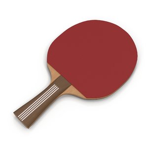 3D ping pong paddle