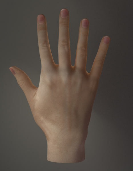 human hand 3d model free download blender