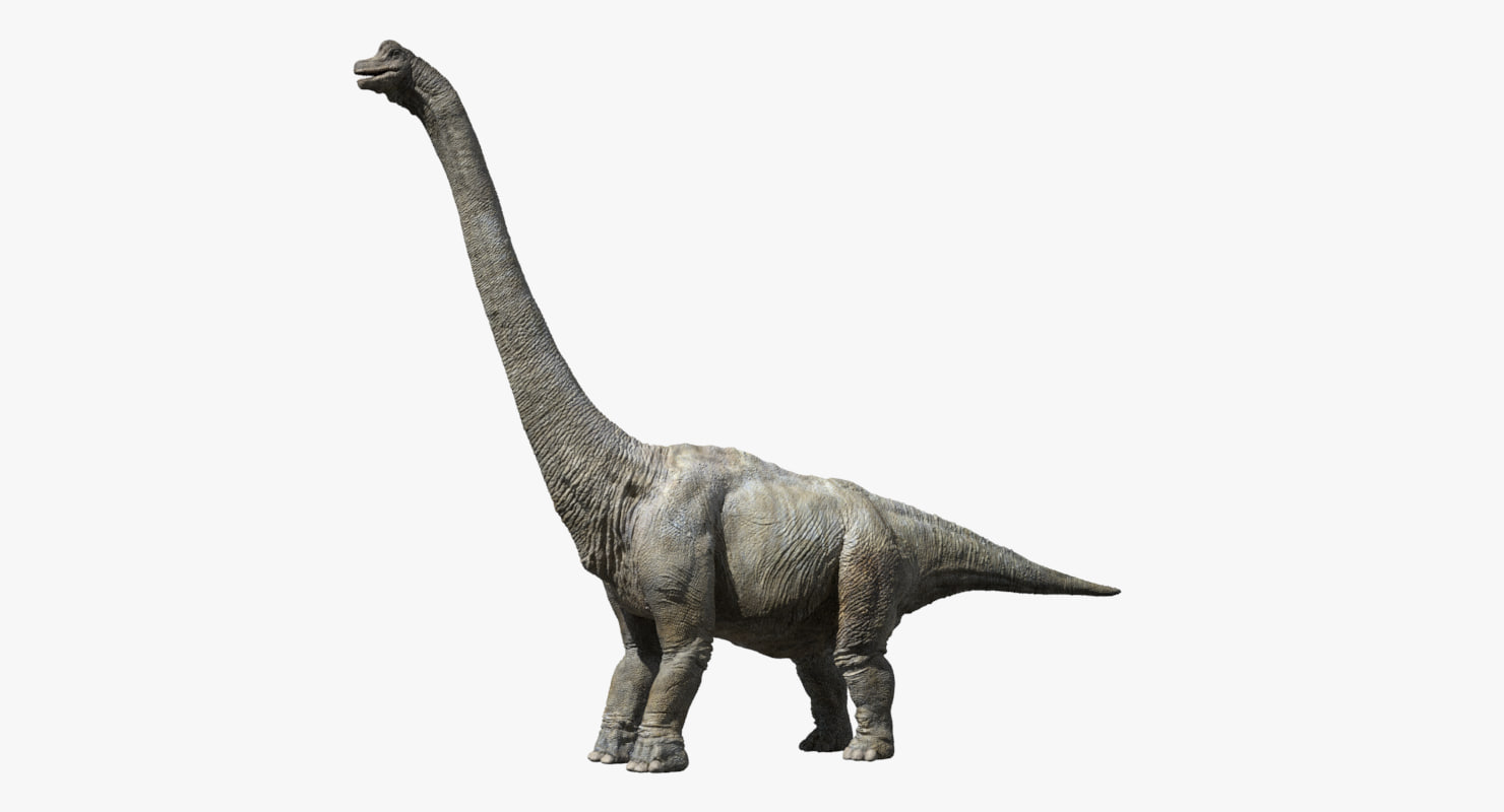 brachiosaurus 3d view