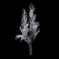Holidays Snow-Tree 3D Models for Download | TurboSquid