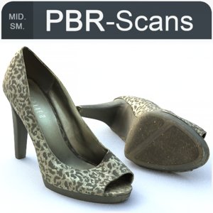 shoe scans model