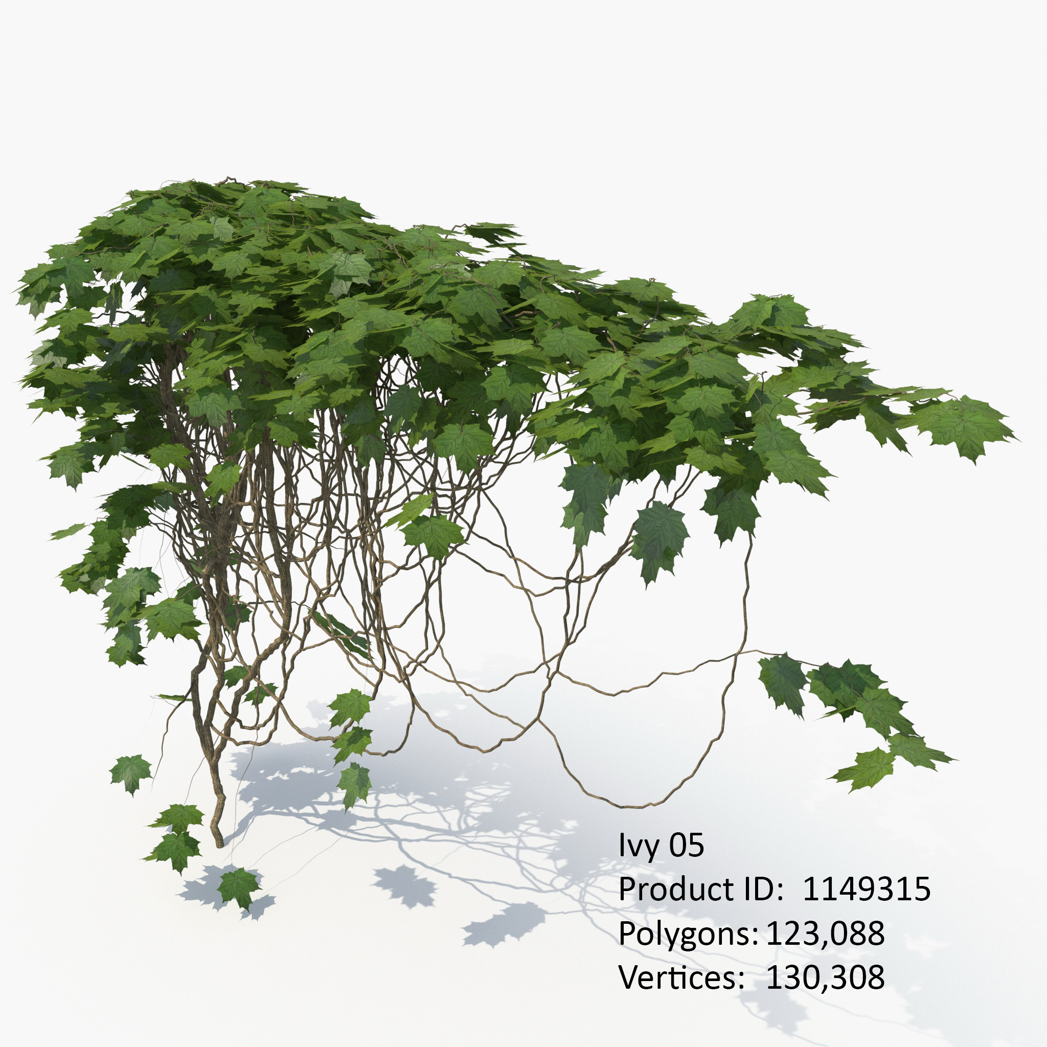 Realistic ivy 3D TurboSquid 1233567