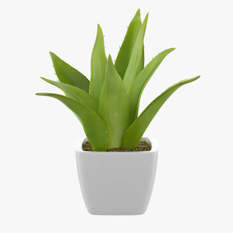  3D plant pot  TurboSquid 1233823