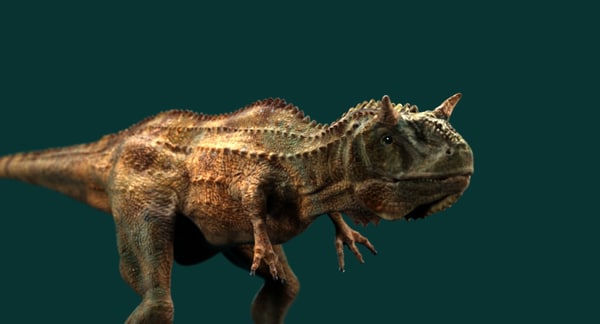 carnotaurus 3d google