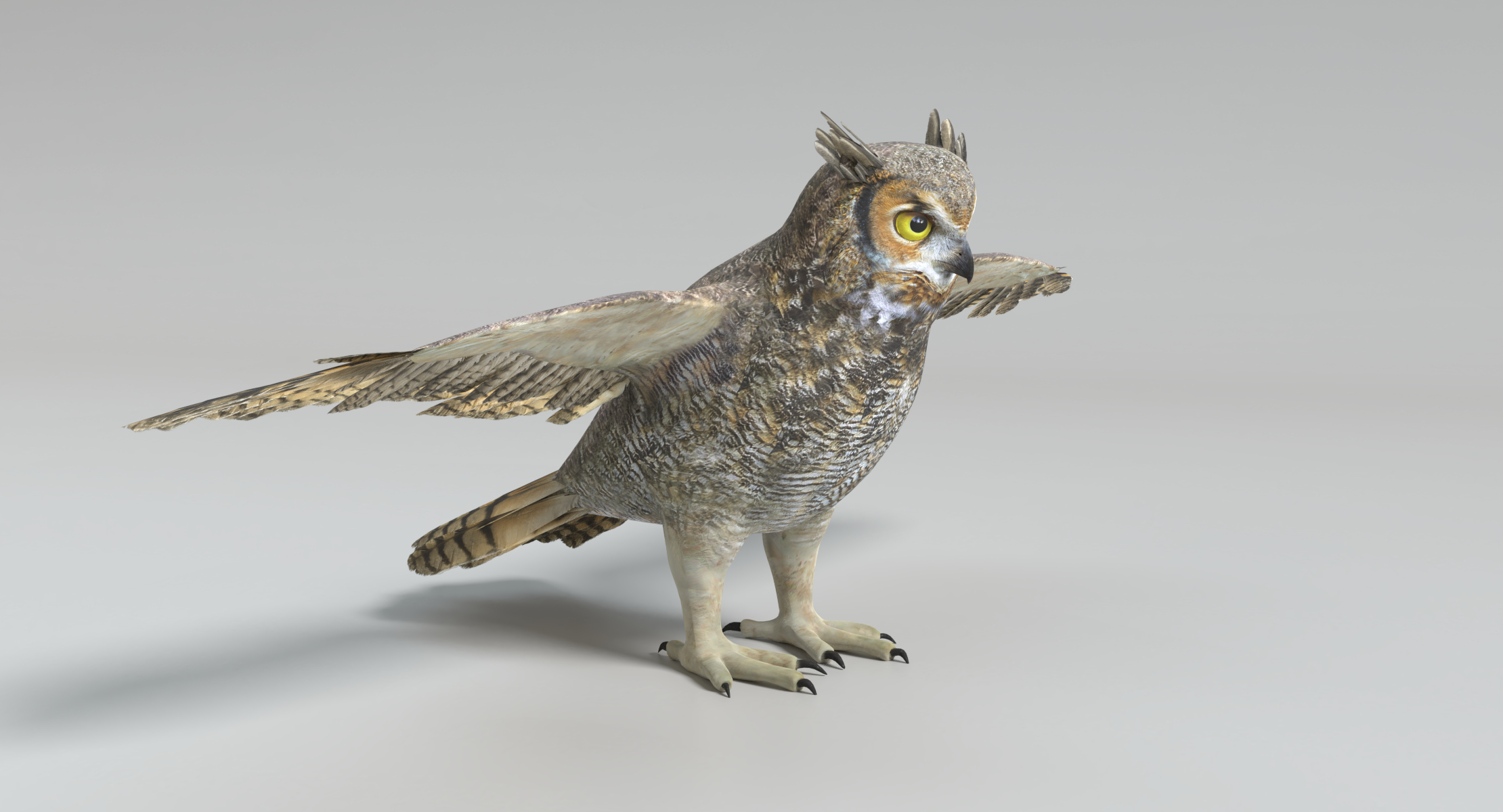 3D model great horned owl TurboSquid 1234091