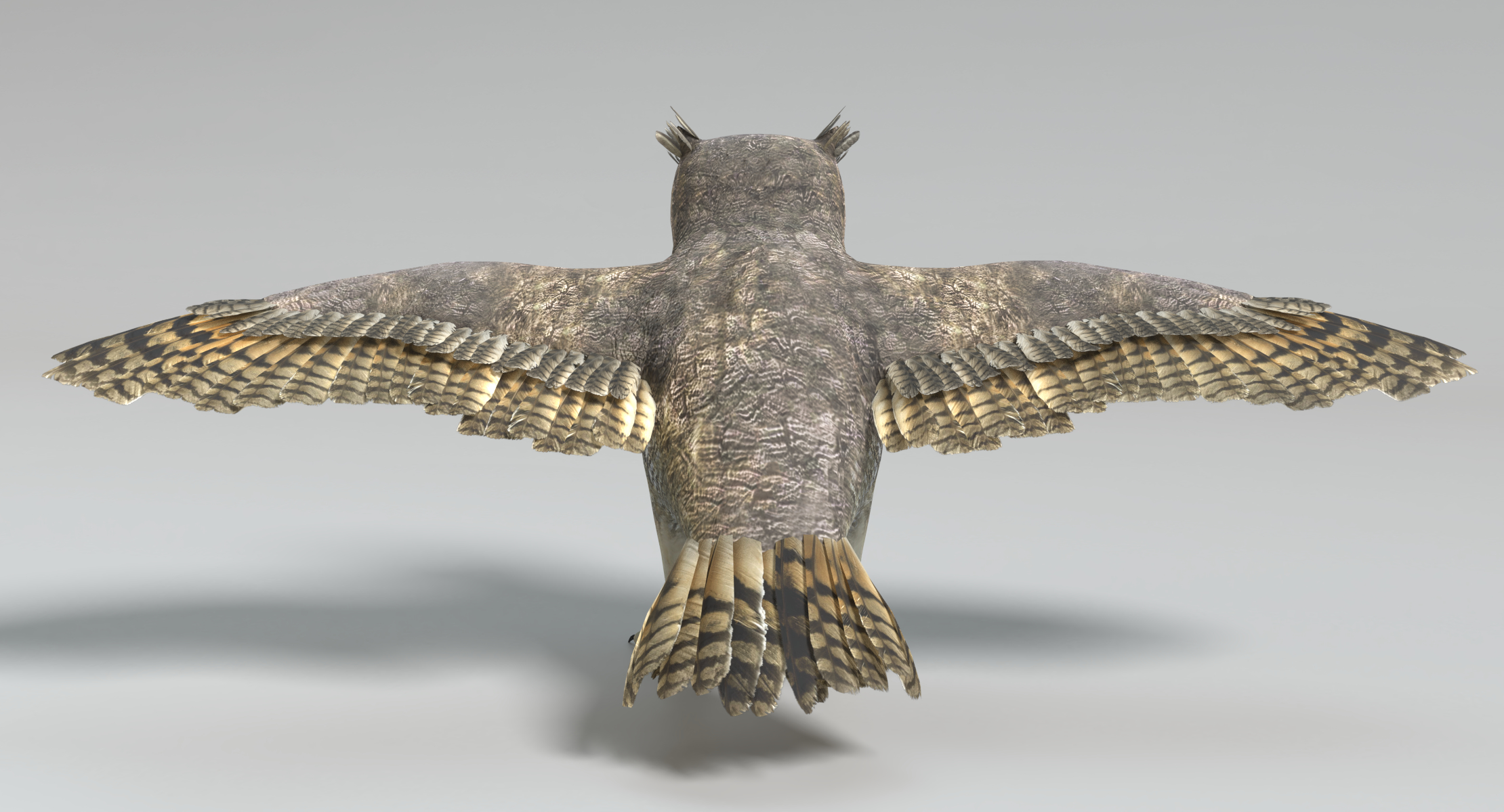 3D model great horned owl - TurboSquid 1234091