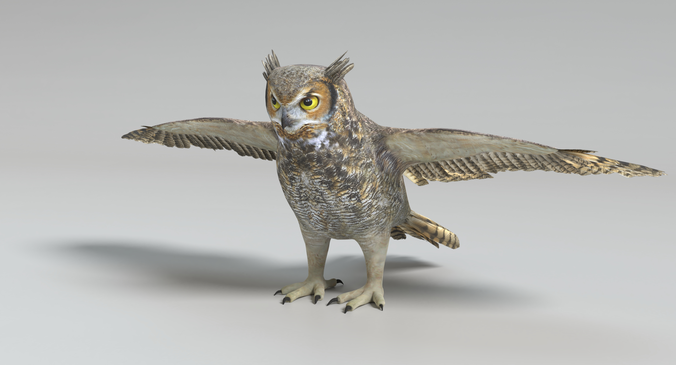 3D model great horned owl TurboSquid 1234091