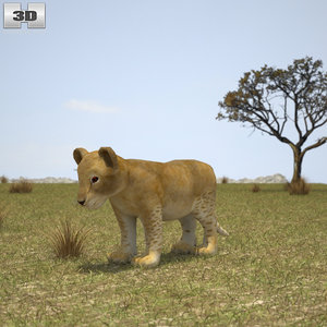lion 3D