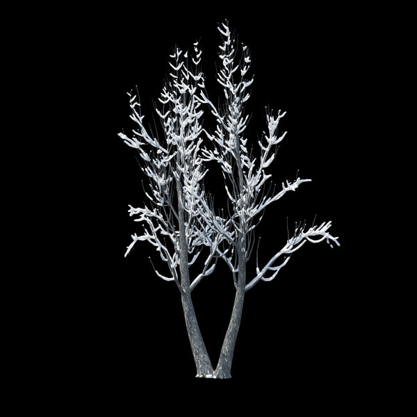 3D winter tree 028 snow