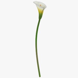 3D calla flower