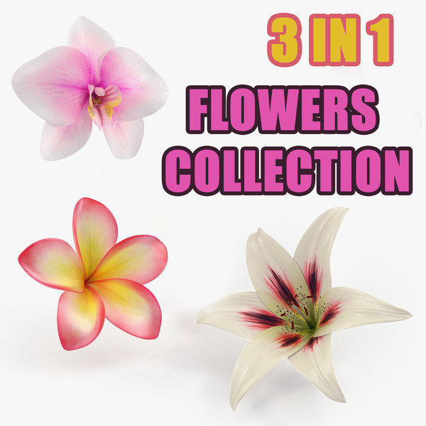 3D flowers 5