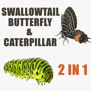 swallowtail butterfly caterpillar 3D model