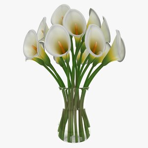 3D calla flower vase model