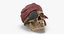 3D pirate skull model