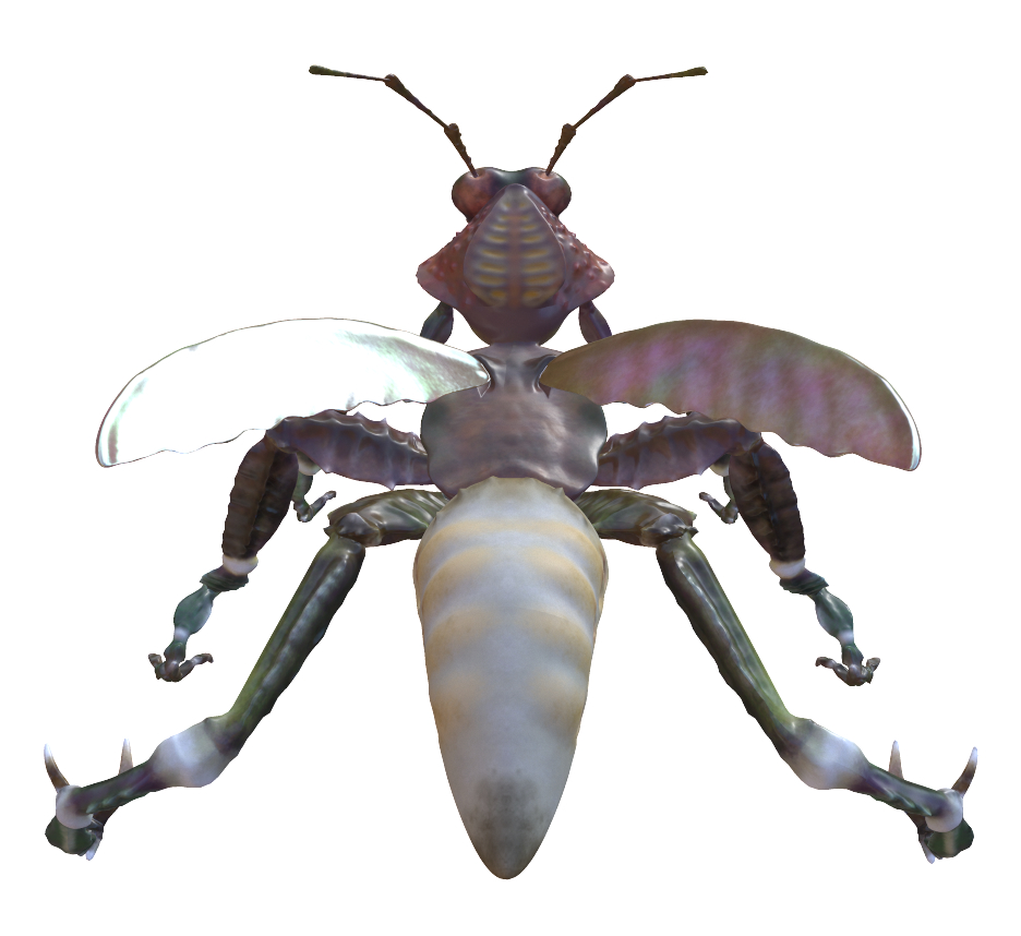 mutated beetle ant mantis model