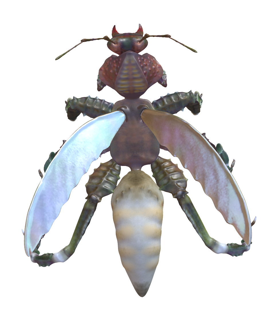 mutated beetle ant mantis model