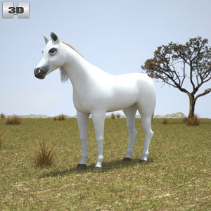 3D model arabian arab horse