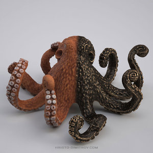scanned octopus 3D