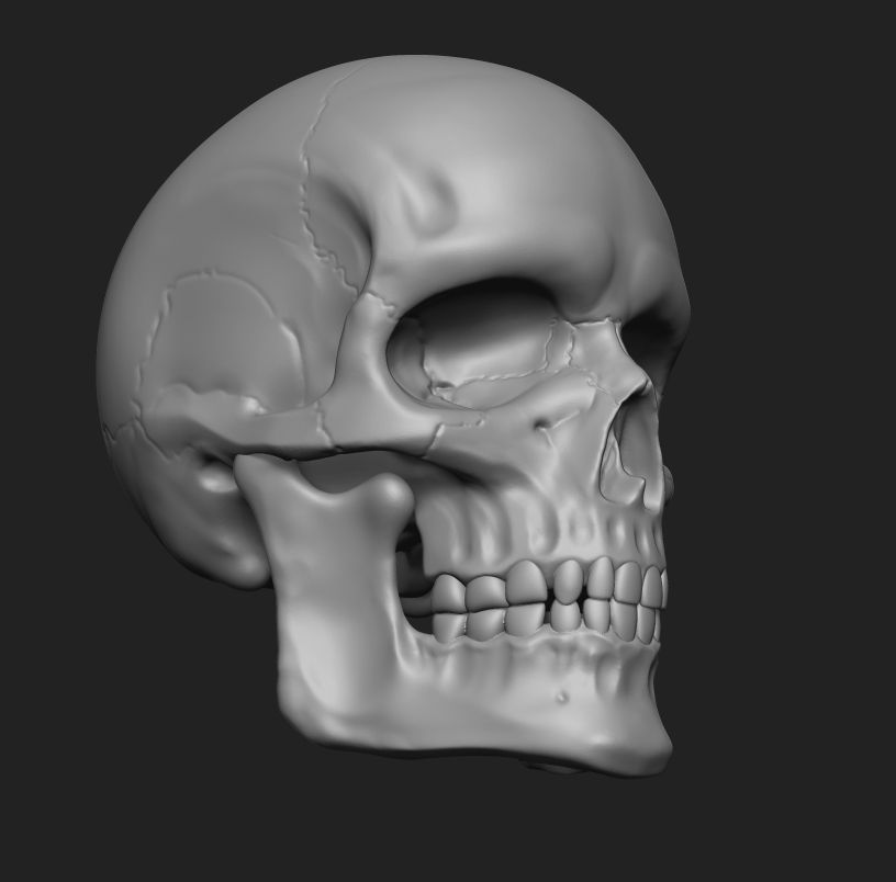 Anatomy human skull printing 3D model - TurboSquid 1236916