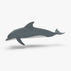 3D model dolphin---turning