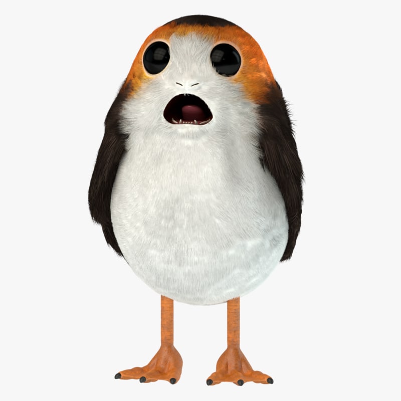 porg pez