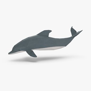 dolphin---onward 3D model