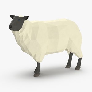 3D model sheep---standing