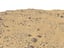 desert dunes beach ground 3D model