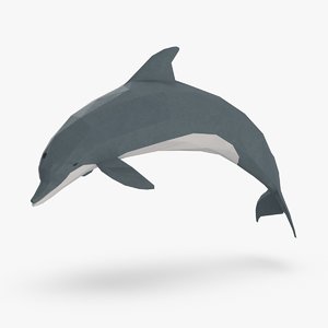 dolphin---jumping 3D model