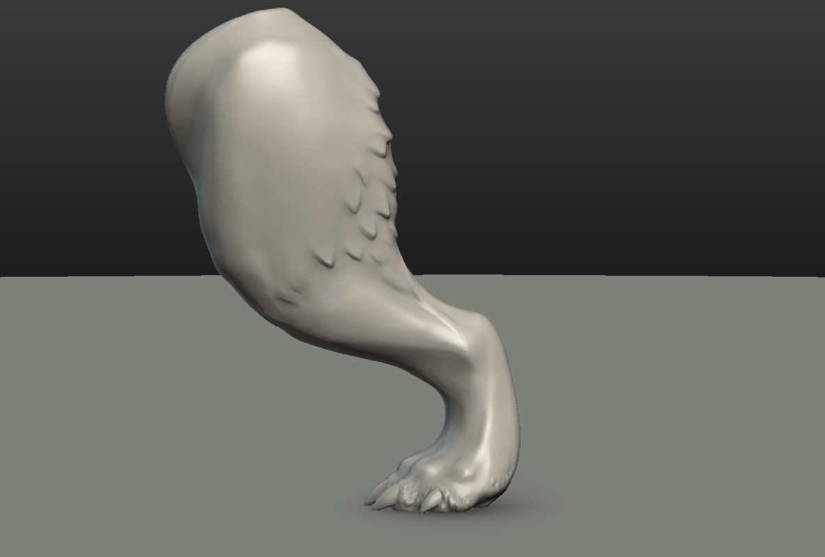 3D Model Wolf Hind Paw TurboSquid 1238145