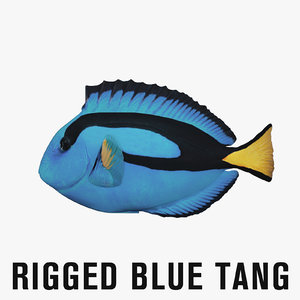 blue tang rigged fish 3D model