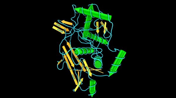 Hämocyanin 3D-Modell - TurboSquid 1238350