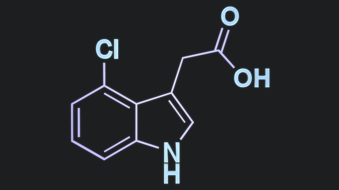 Indole-3-acetic acid 3D model - TurboSquid 1238355