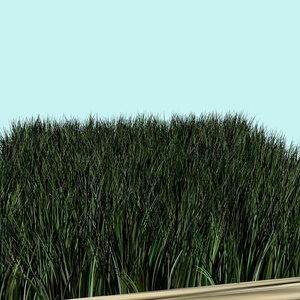 3D model grass flower