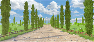 cipres path 3D