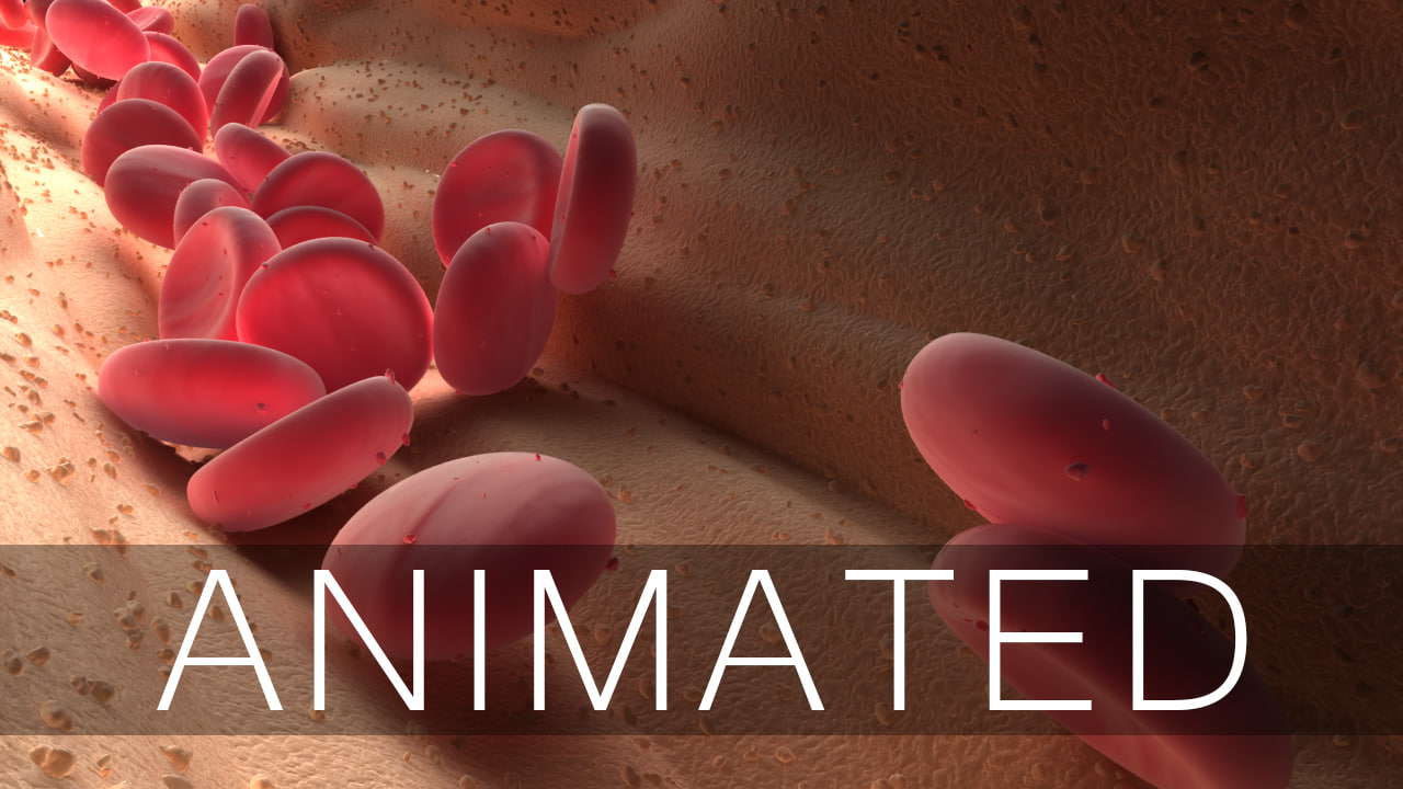 Blood cells animation 3D model - TurboSquid 1238674