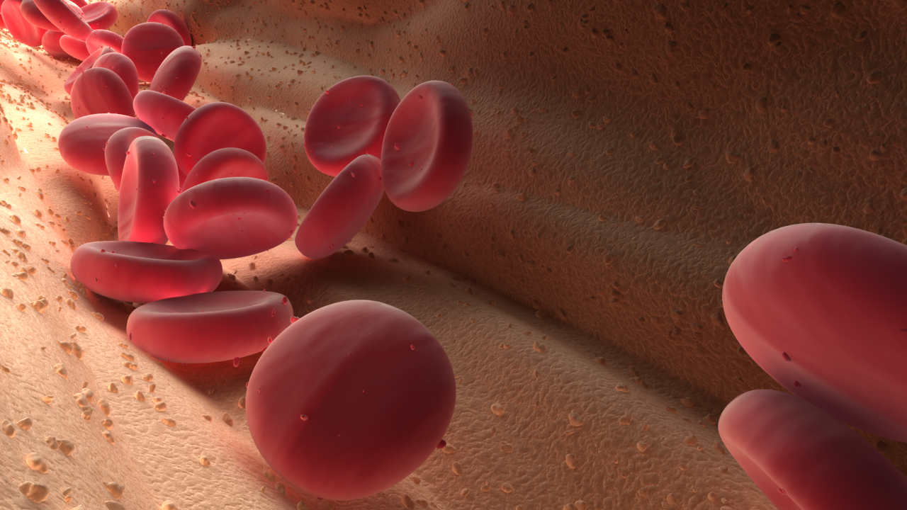 Blood cells animation 3D model - TurboSquid 1238674