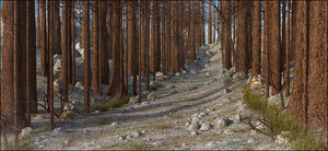 tree mountain path 3D model