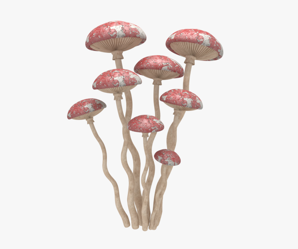 Mushroom Blender Models for Download TurboSquid