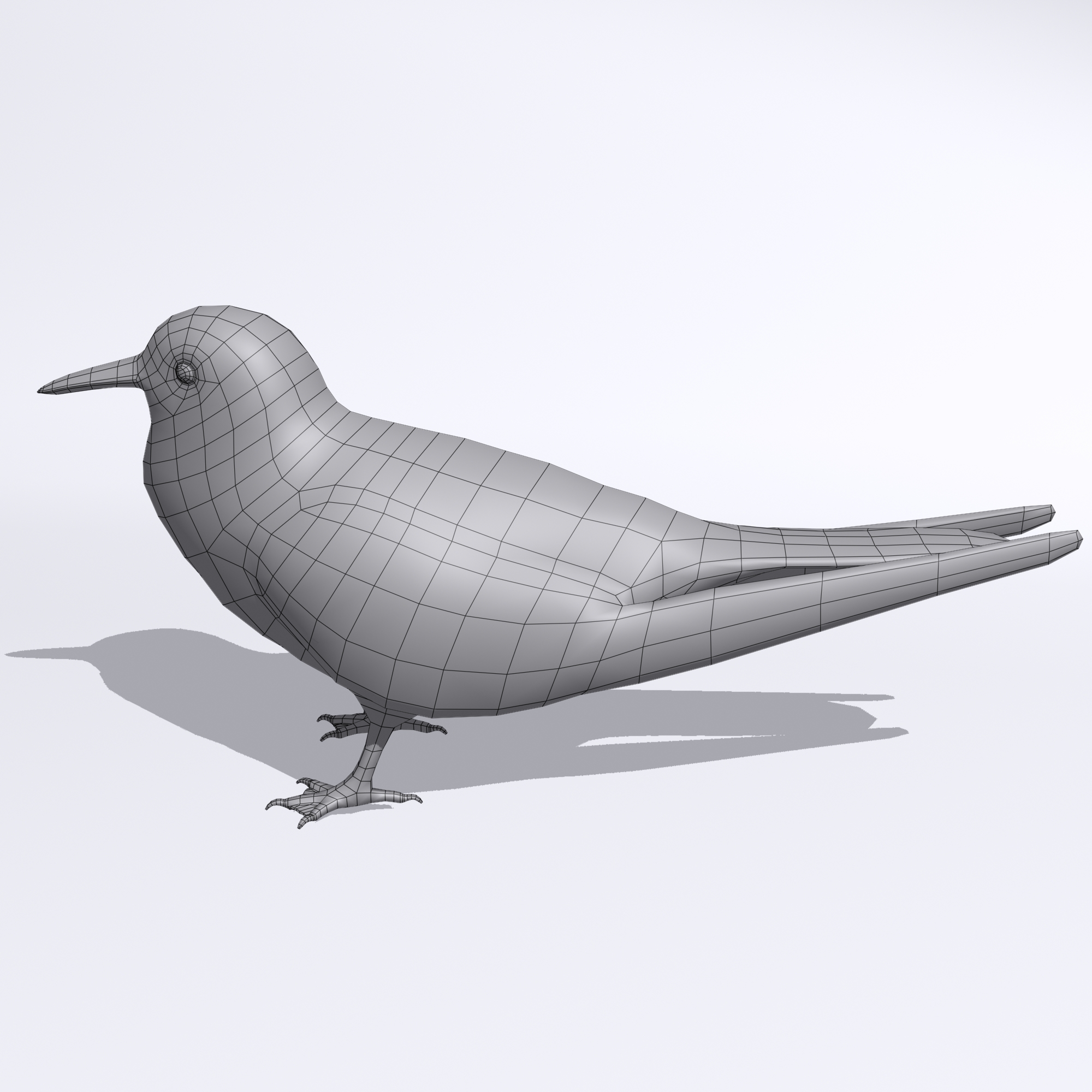 普通燕鸥3d模型