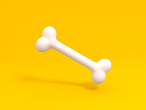 3D dog bone