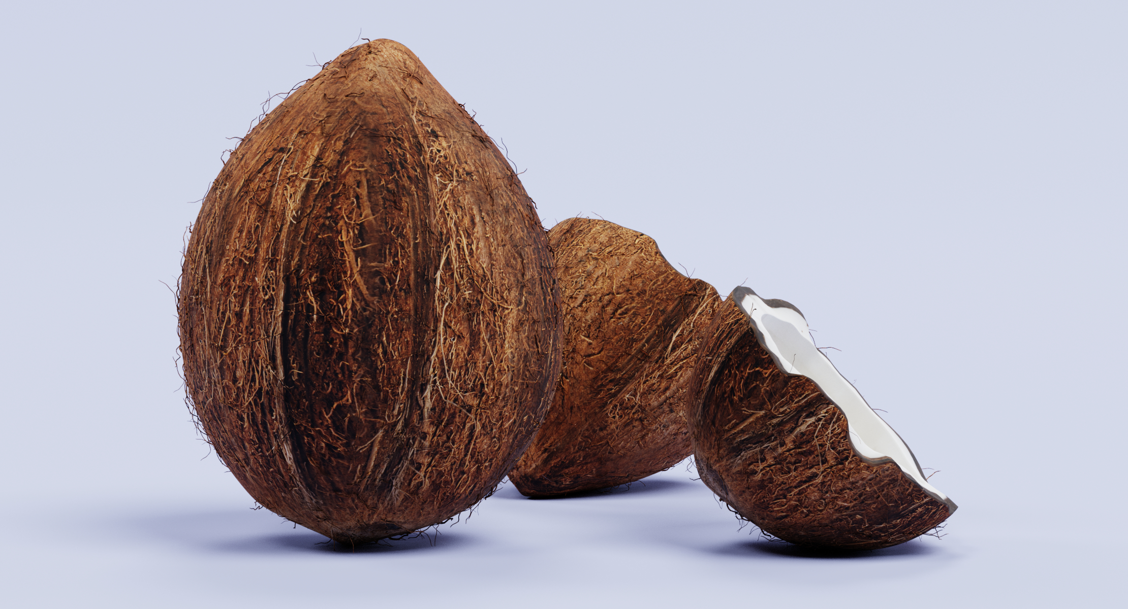 3d coconuts model