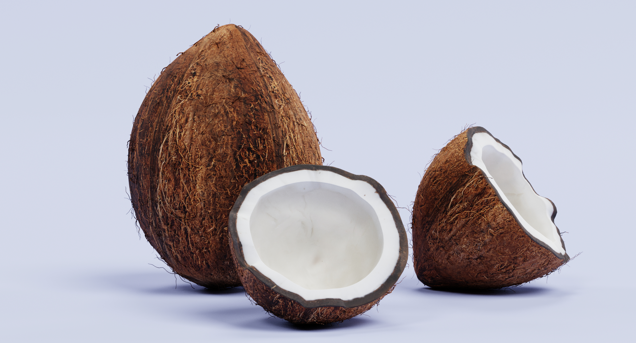 3d coconuts model