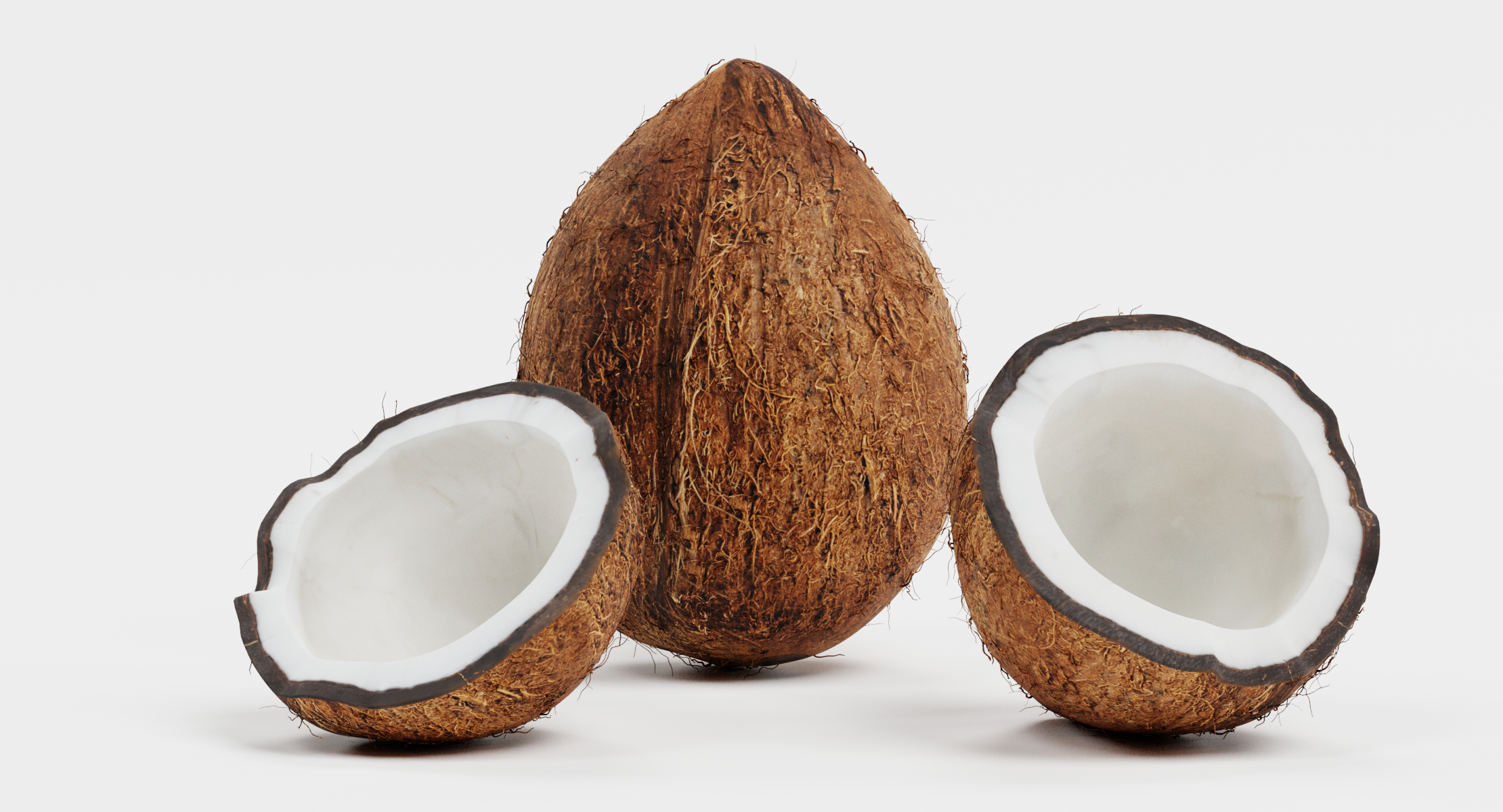 3d coconuts model