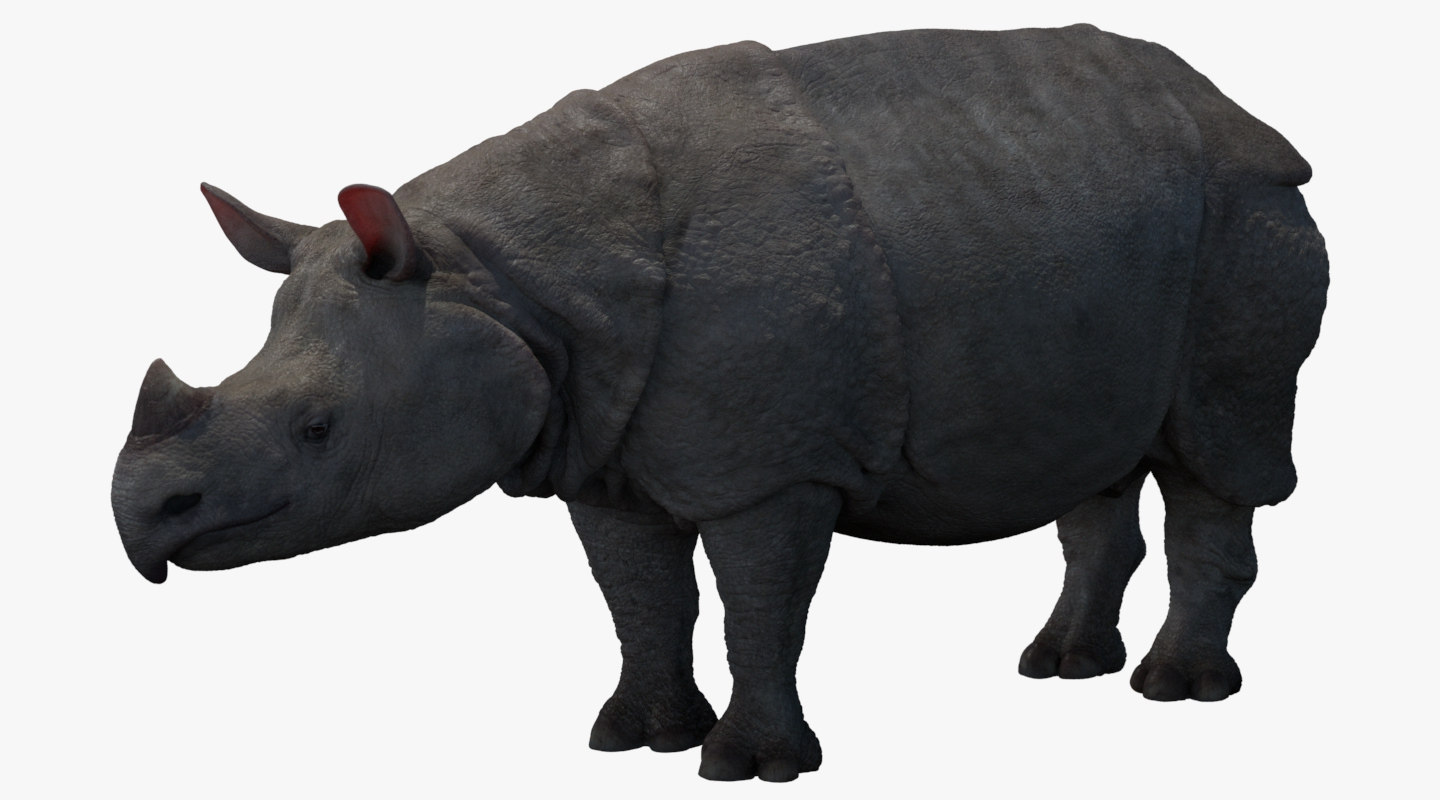 rhino 3d modeling